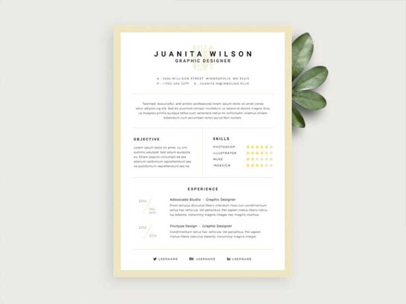 20  best resume template psd free download